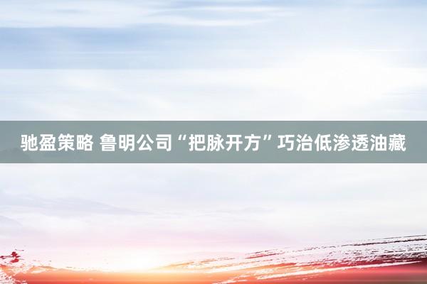驰盈策略 鲁明公司“把脉开方”巧治低渗透油藏