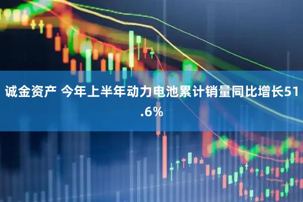 诚金资产 今年上半年动力电池累计销量同比增长51.6%