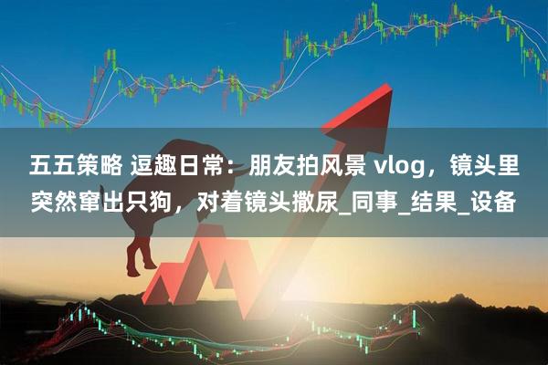 五五策略 逗趣日常：朋友拍风景 vlog，镜头里突然窜出只狗，对着镜头撒尿_同事_结果_设备